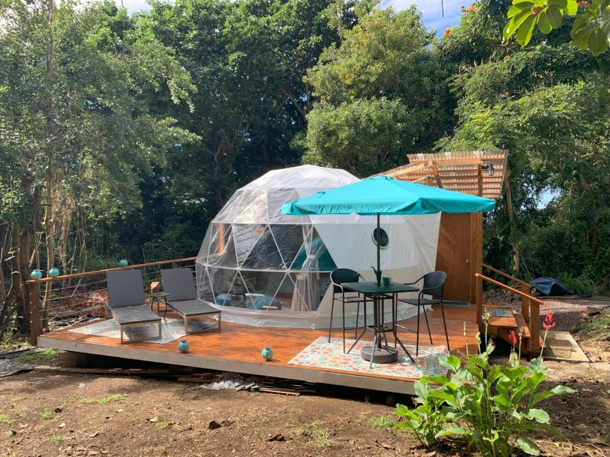 Manta Soul Jungle Geodome Hotel Kealakekua Ngoại thất bức ảnh