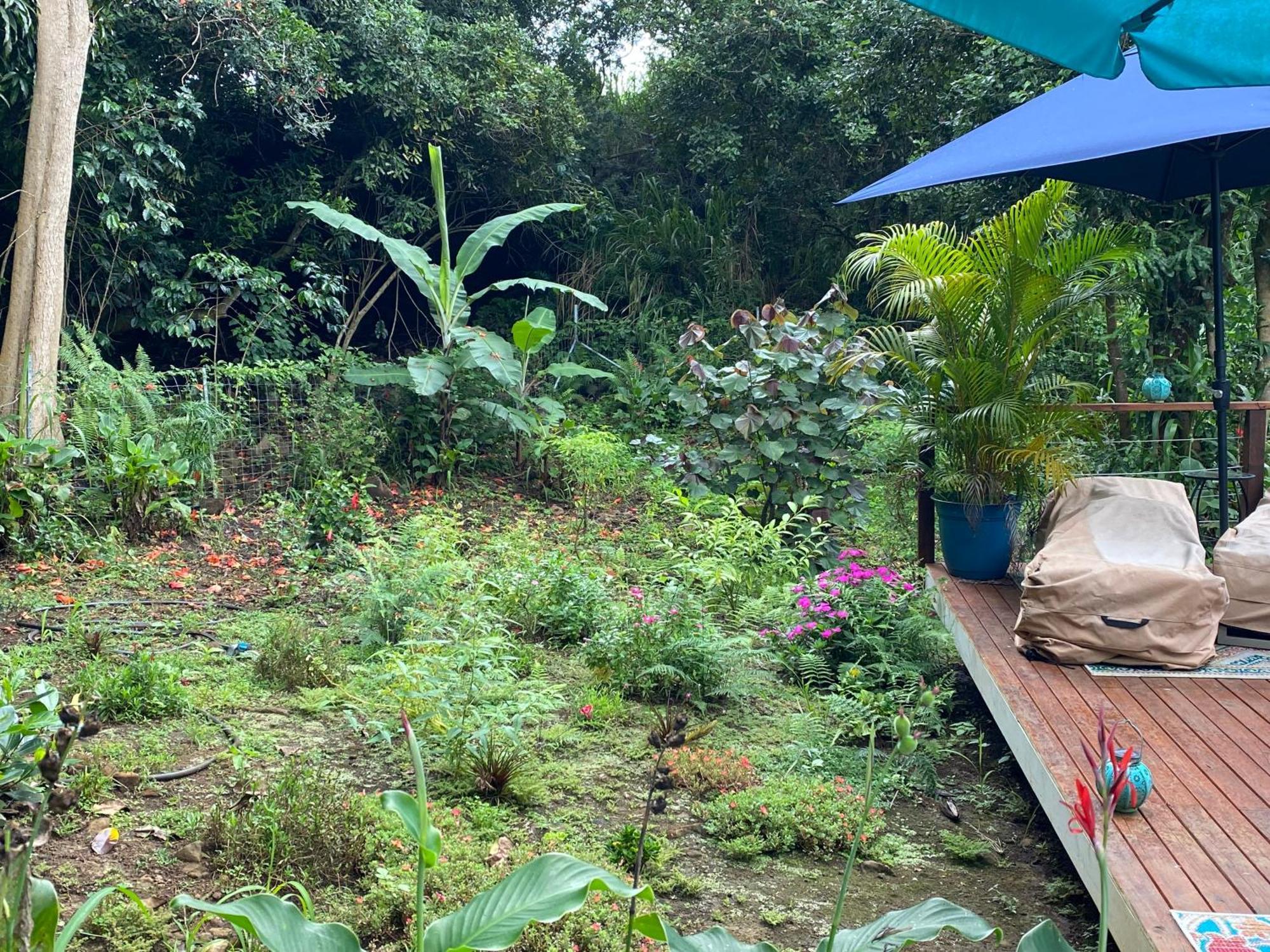 Manta Soul Jungle Geodome Hotel Kealakekua Ngoại thất bức ảnh