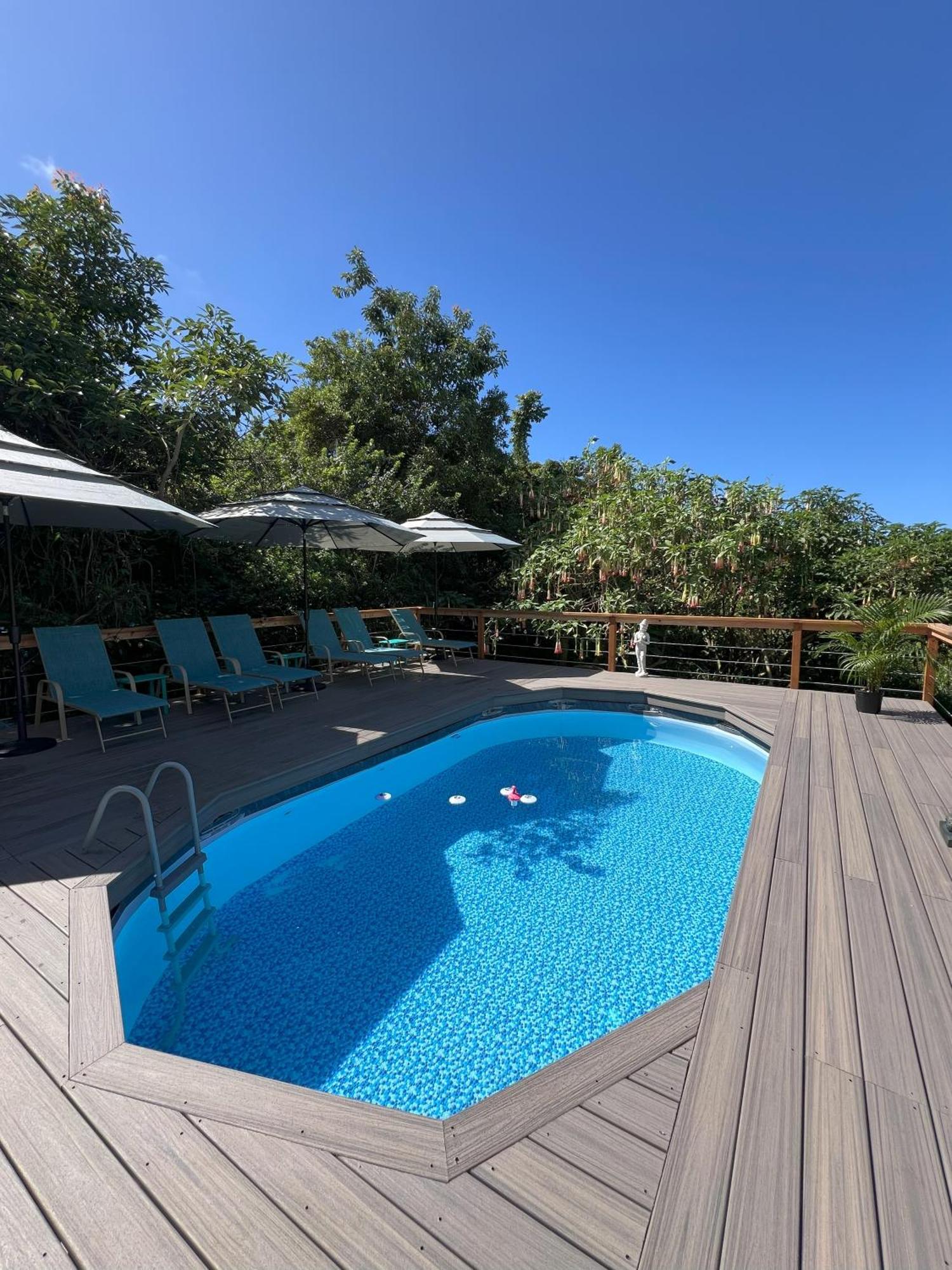 Manta Soul Jungle Geodome Hotel Kealakekua Ngoại thất bức ảnh